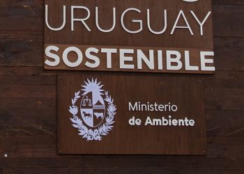 Ministerio de Ambiente: un caleidoscopio de apariencias