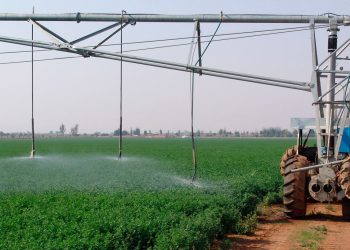 Director de Recursos Naturales del MGAP: Generalizar incentivos al riego para contribuyentes IRAE como Imbeba.