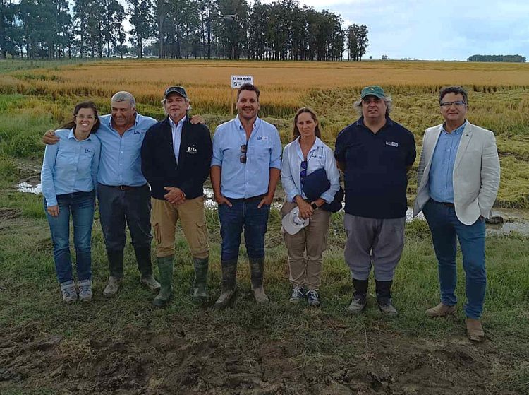 Uruguay País Arrocero