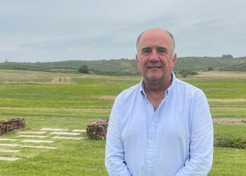 Producción nacional de aceite de oliva: “El gran desafío es mantener la calidad y ser más competitivo”