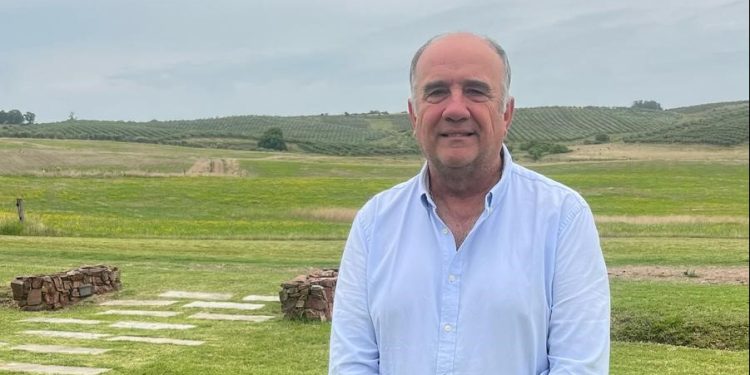 Producción nacional de aceite de oliva: “El gran desafío es mantener la calidad y ser más competitivo”