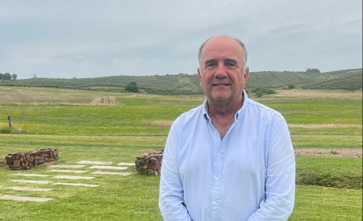 Producción nacional de aceite de oliva: “El gran desafío es mantener la calidad y ser más competitivo”