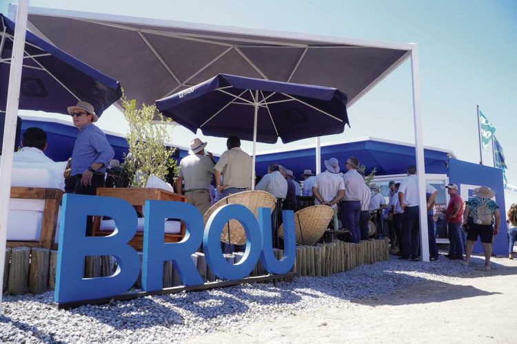 Bancos y empresas de servicios financieros presentaron sus propuestas durante la Expoactiva