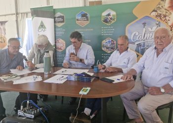 “La cooperativa aporta solución donde el mercado no puede”