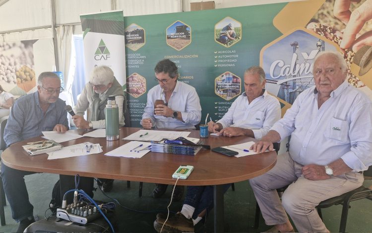 “La cooperativa aporta solución donde el mercado no puede”