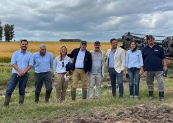 INIA: investigación al servicio de la producción