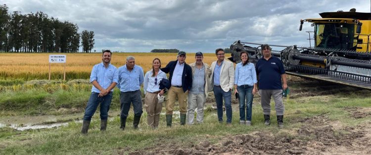 INIA: investigación al servicio de la producción