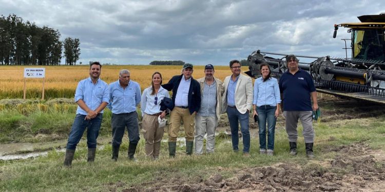 INIA: investigación al servicio de la producción
