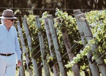 “Un apoyo del gobierno va a permitir que el sector vitivinícola vuelva a ser una fuente importante de mano de obra”