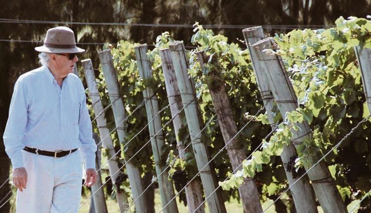 “Un apoyo del gobierno va a permitir que el sector vitivinícola vuelva a ser una fuente importante de mano de obra”