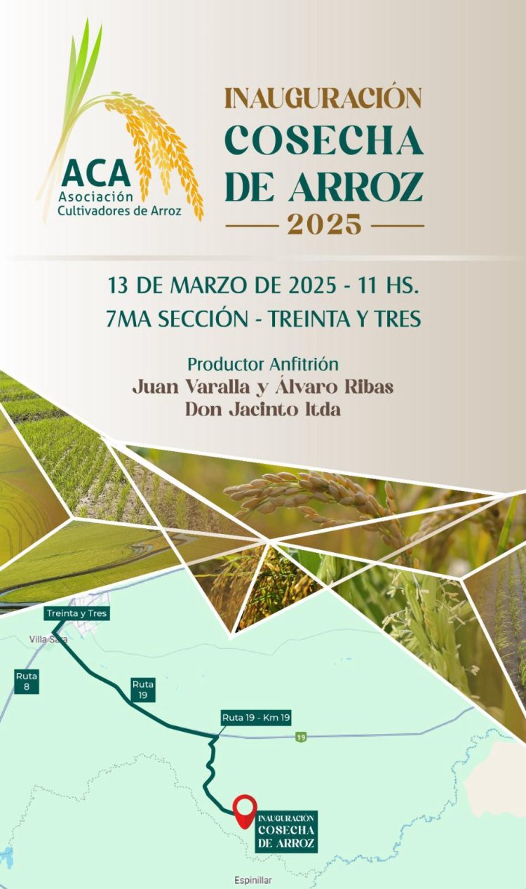 Productores de arroz inauguran cosecha 2025 en Treinta y Tres con la participación de Orsi y Fratti