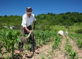 El medio rural y el poder de girar la rueda de la historia