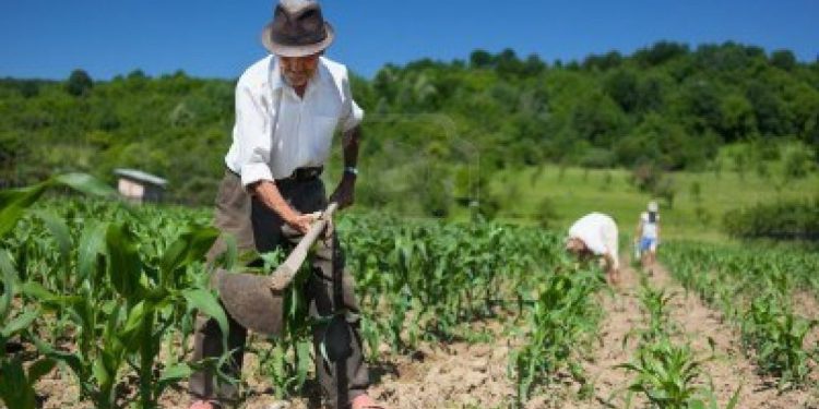 El medio rural y el poder de girar la rueda de la historia
