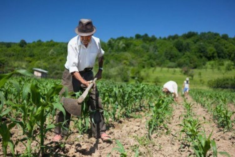 El medio rural y el poder de girar la rueda de la historia