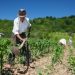 El medio rural y el poder de girar la rueda de la historia