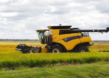 Productores de arroz inauguran cosecha 2025 en Treinta y Tres con la participación de Orsi y Fratti