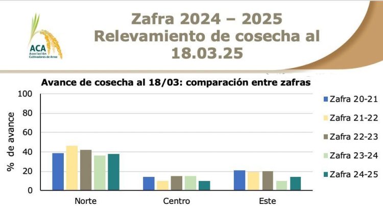 Se cosechó el 18% del área arrocera