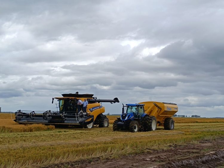 Uruguay País Arrocero
