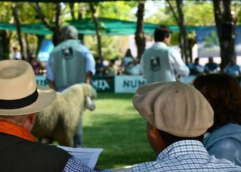 Fratti participará de la Expo Durazno con una exposición sobre políticas de gobierno