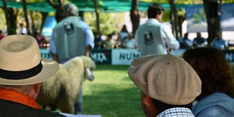 Fratti participará de la Expo Durazno con una exposición sobre políticas de gobierno