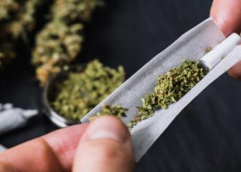 A siete de cada diez estudiantes universitarios les ofrecieron marihuana alguna vez en la vida