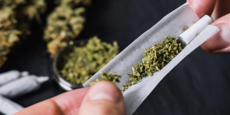 A siete de cada diez estudiantes universitarios les ofrecieron marihuana alguna vez en la vida