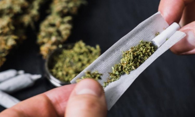 A siete de cada diez estudiantes universitarios les ofrecieron marihuana alguna vez en la vida