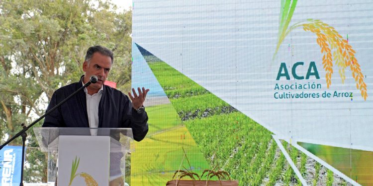 Orsi a los arroceros: “Cuenten con nosotros”