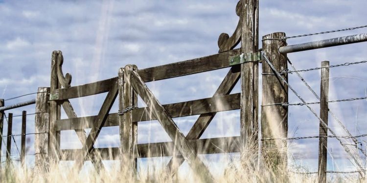 ¿Responsabilidad del Estado en la estafa de Conexión Ganadera?