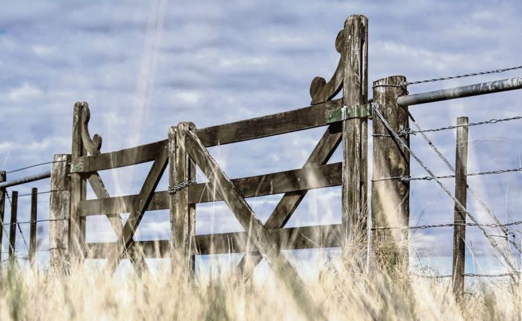 ¿Responsabilidad del Estado en la estafa de Conexión Ganadera?