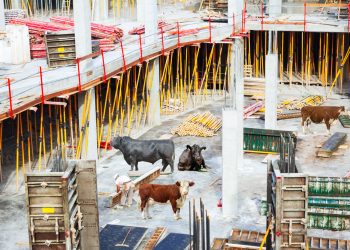 Concursos y esquemas Ponzi en Uruguay: ¿llegará la hora de la construcción?