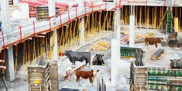 Concursos y esquemas Ponzi en Uruguay: ¿llegará la hora de la construcción?