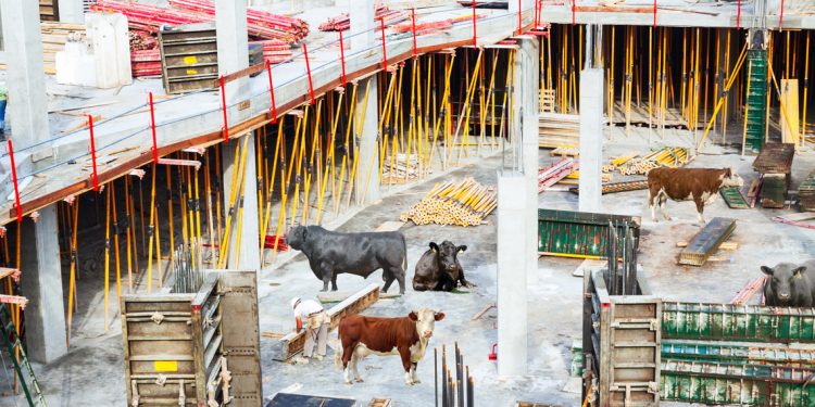 Concursos y esquemas Ponzi en Uruguay: ¿llegará la hora de la construcción?