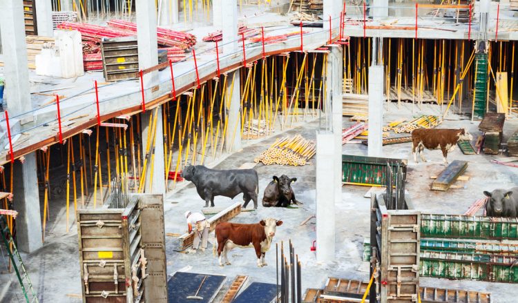 Concursos y esquemas Ponzi en Uruguay: ¿llegará la hora de la construcción?