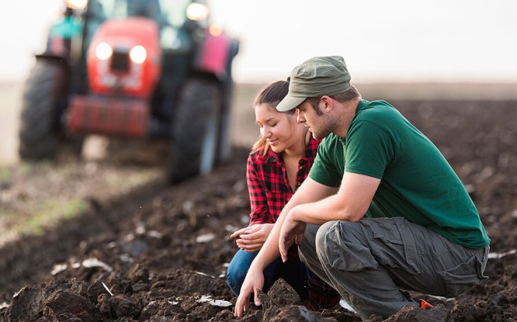 Migración ciudad – campo
