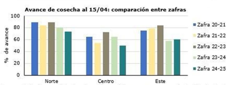 Cosecha de arroz avanza a pesar de las precipitaciones