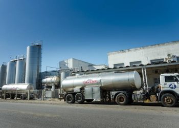 Caída de la producción de leche en Uruguay sería el principal motivo del cierre de Calcar