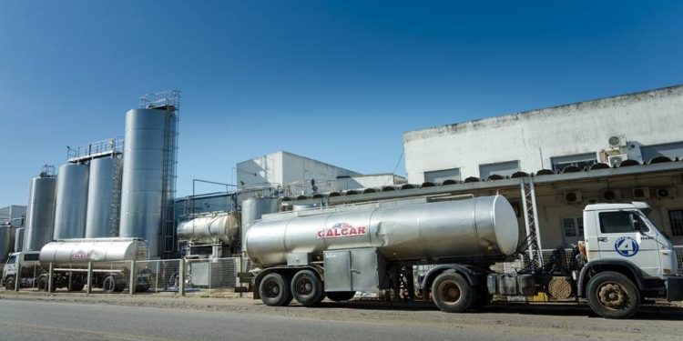 Caída de la producción de leche en Uruguay sería el principal motivo del cierre de Calcar