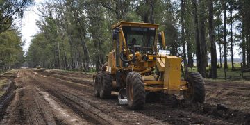 La caminería rural es una de las mayores preocupaciones de la Federación Rural y sus federadas