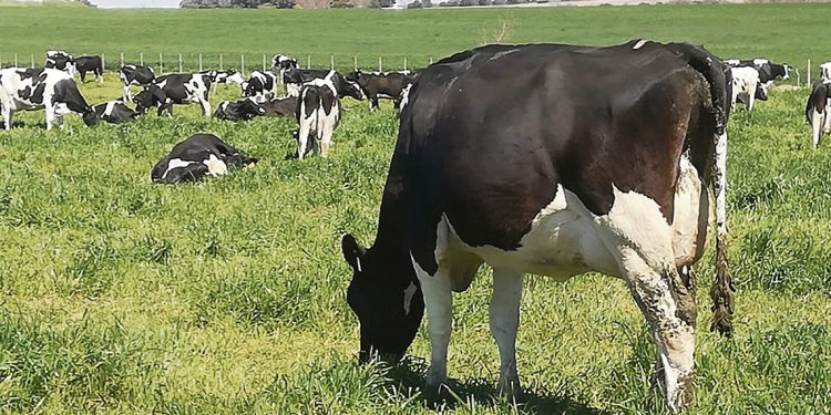 Cuando cierra una industria, “los productores siempre son los últimos en cobrar”