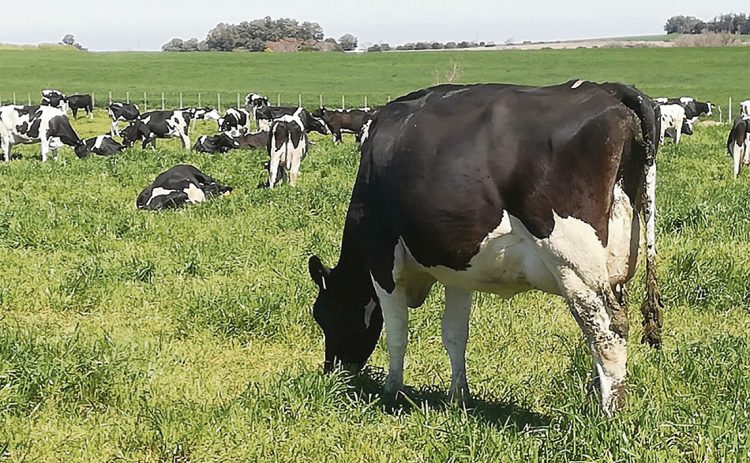 Cuando cierra una industria, “los productores siempre son los últimos en cobrar”