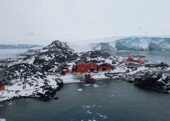 Malvinas:“Se generó en toda América Latina una espontánea solidaridad con el justo reclamo argentino”