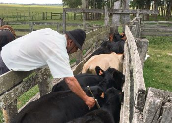 Ordenar la casa, desconfiar de las regionales y estar en contacto directo, el planteo al nuevo directorio de Colonización
