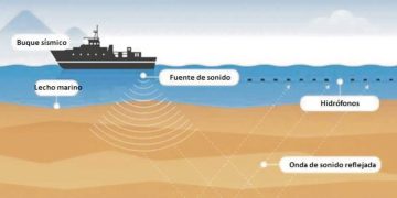Empresas de pesca y ambientalistas plantean reparos por prospección sísmica subacuática