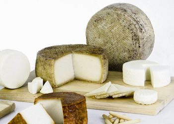 El queso de oveja es una opción creciente en el consumo de lácteos de calidad