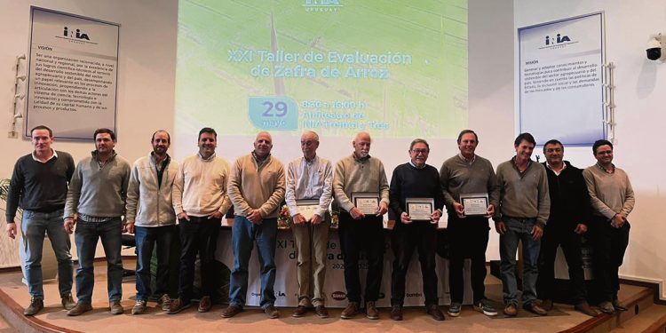 La producción de arroz batió su propio récord y superó los 9400 kilos por hectárea