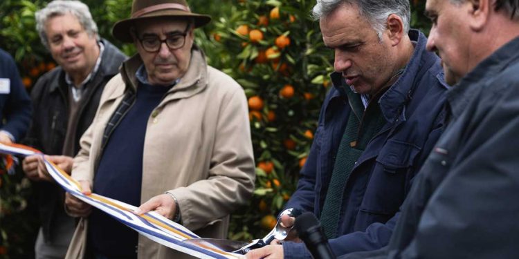 Con un sector que proyecta multiplicar su producción a 10 años, se inauguró la zafra citrícola 2025