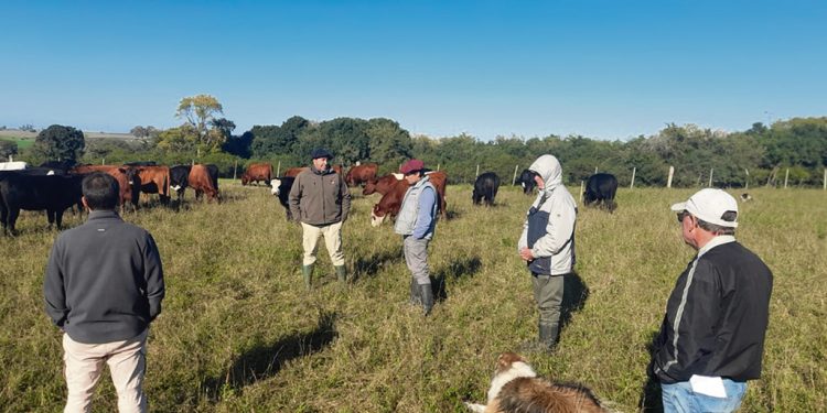 La ganadería recibe el invierno con buena disponibilidad de forraje y buen estado corporal