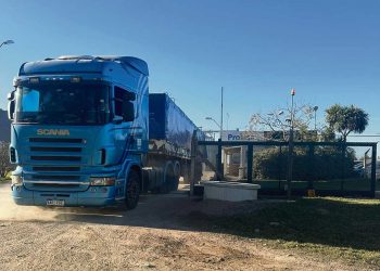 Importación de granos de la región deja fuera de competencia a los productores locales