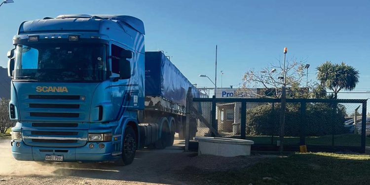 Importación de granos de la región deja fuera de competencia a los productores locales